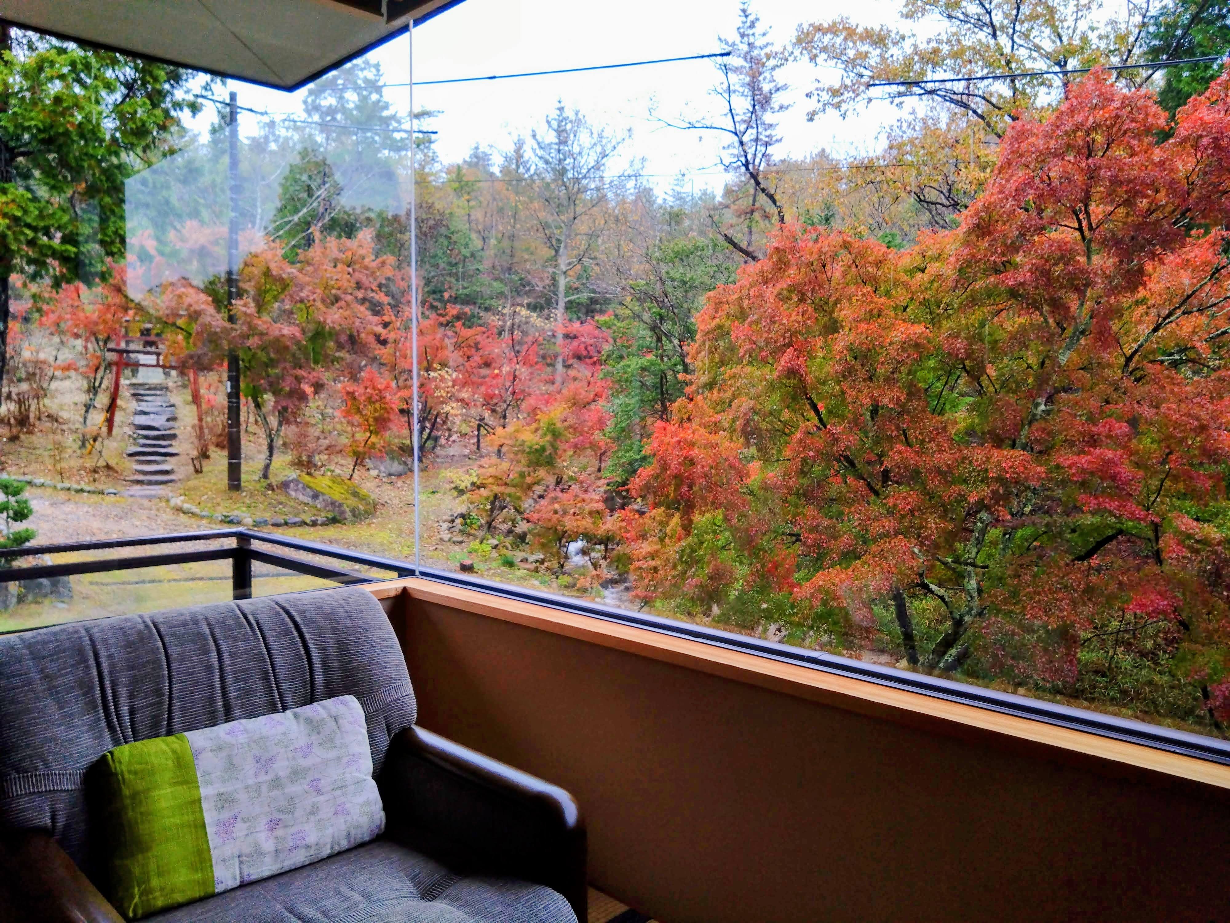 Autumn garden from the guest room