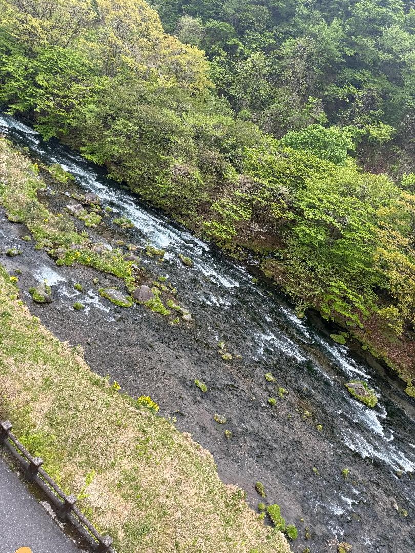 9FA551EC-E68D-4D47-A6CE-3A76167D15B4.jpeg