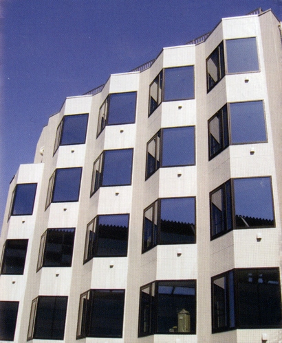 Appearance image