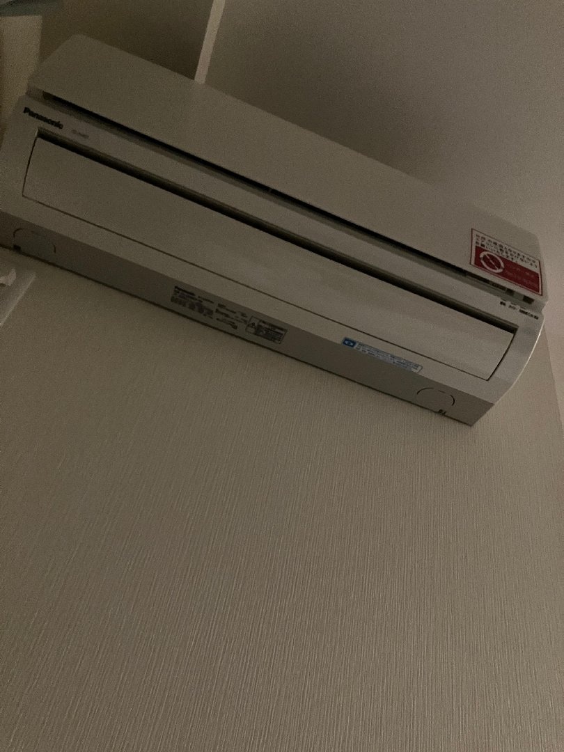 IMG_3769.jpeg
