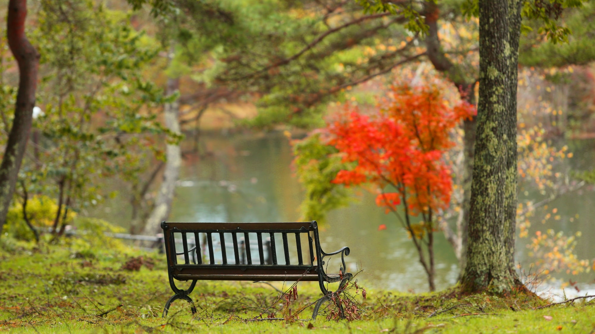 Autumn private garden