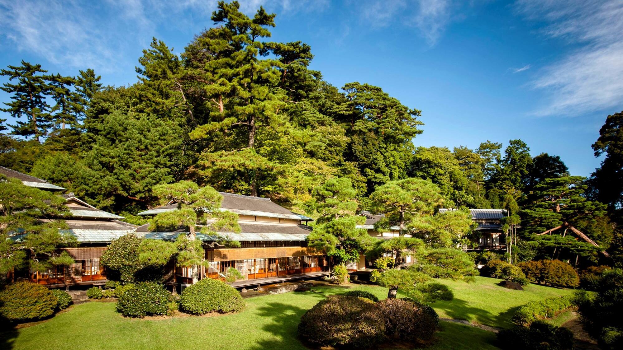 garden