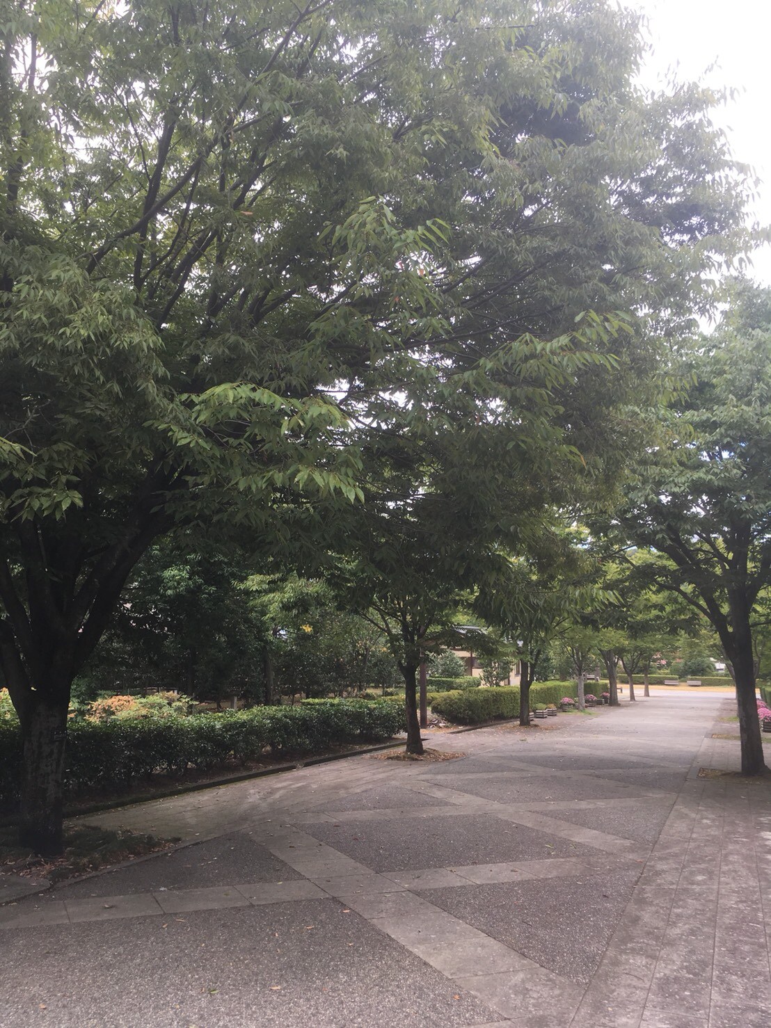 前面有一個公園