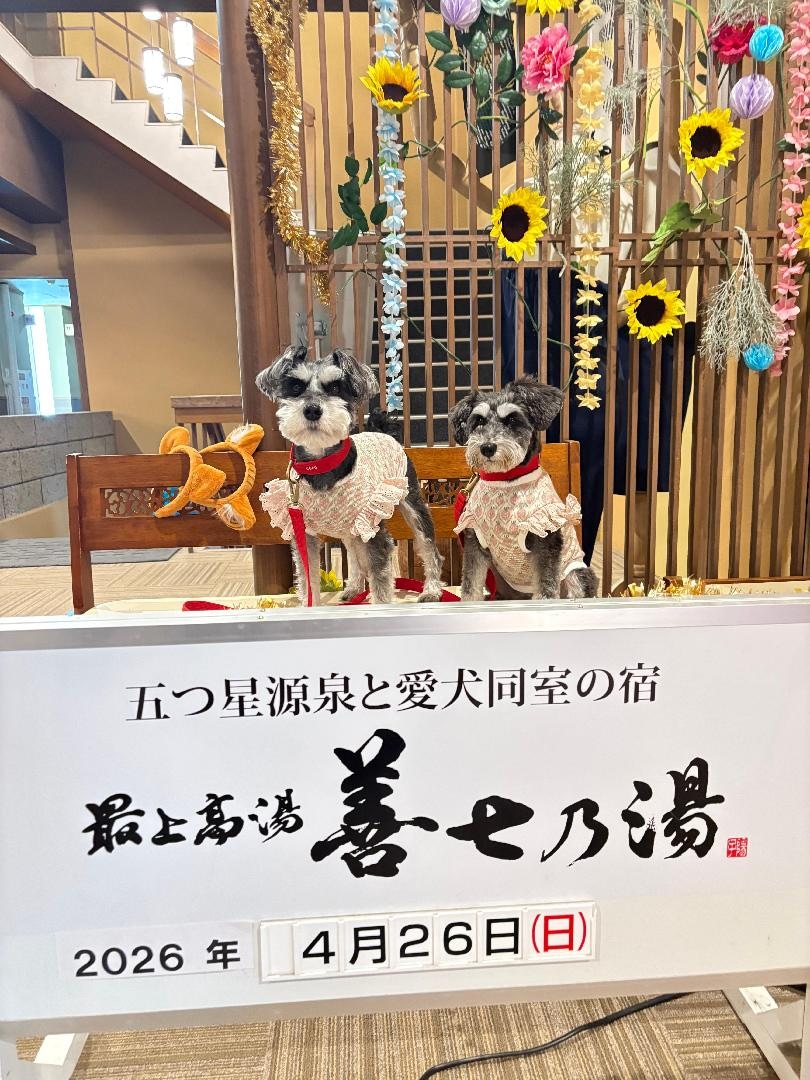 IMG_3095.jpeg