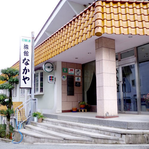 Appearance image