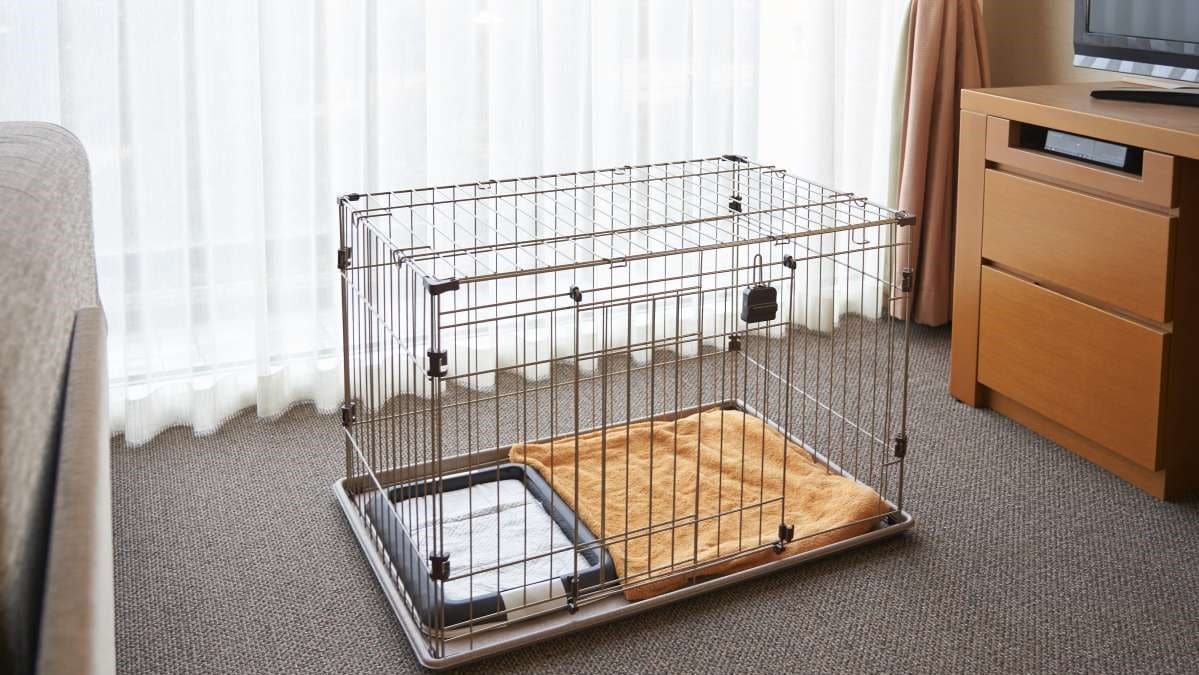 [Cage for small dogs]