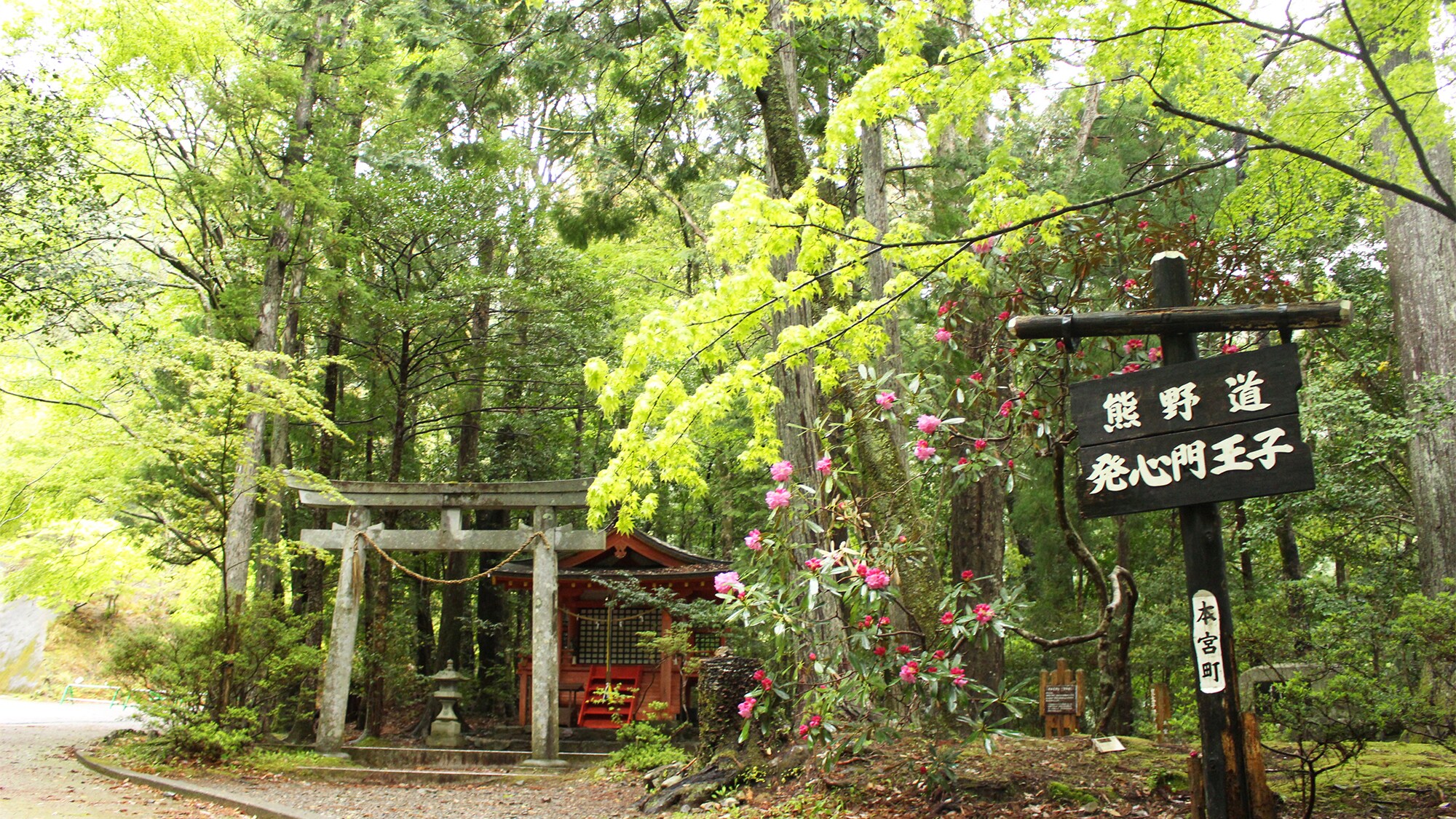 ・ [Kumano Kodo] It is an atmosphere that makes you feel the ancient times.