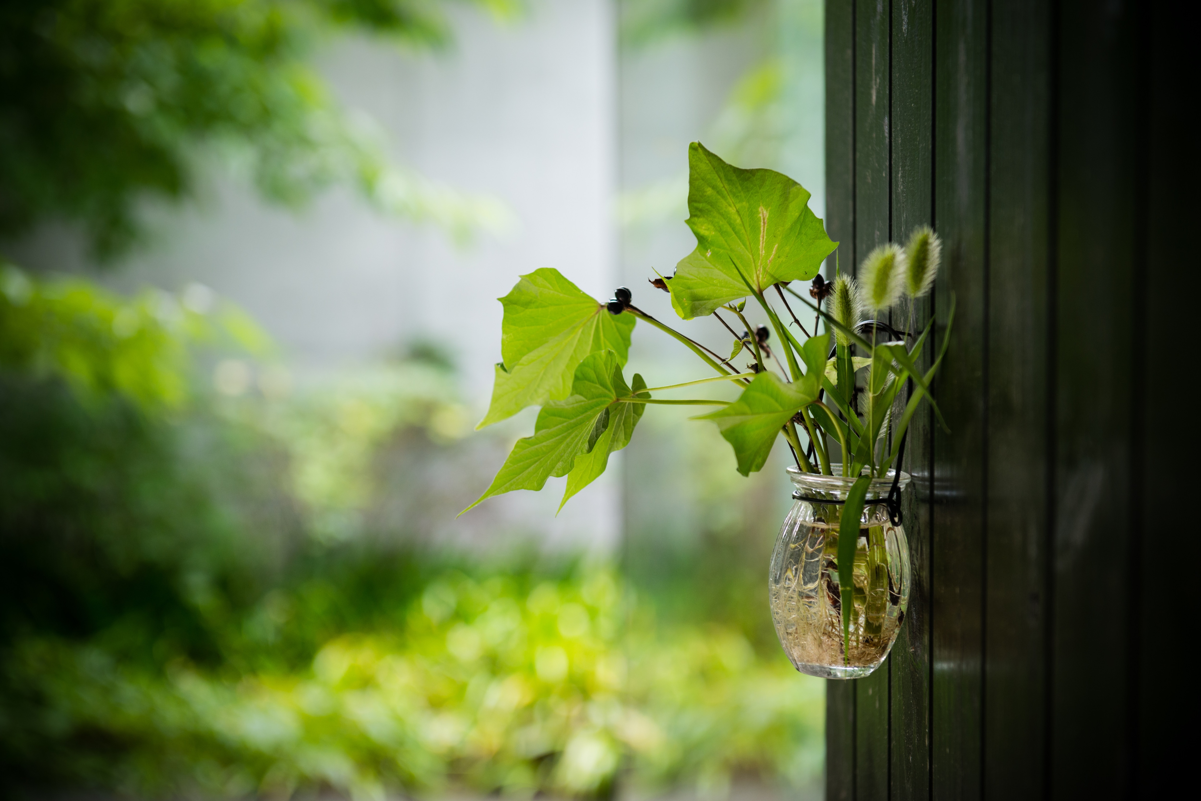 An entrance where you can feel the changing seasons