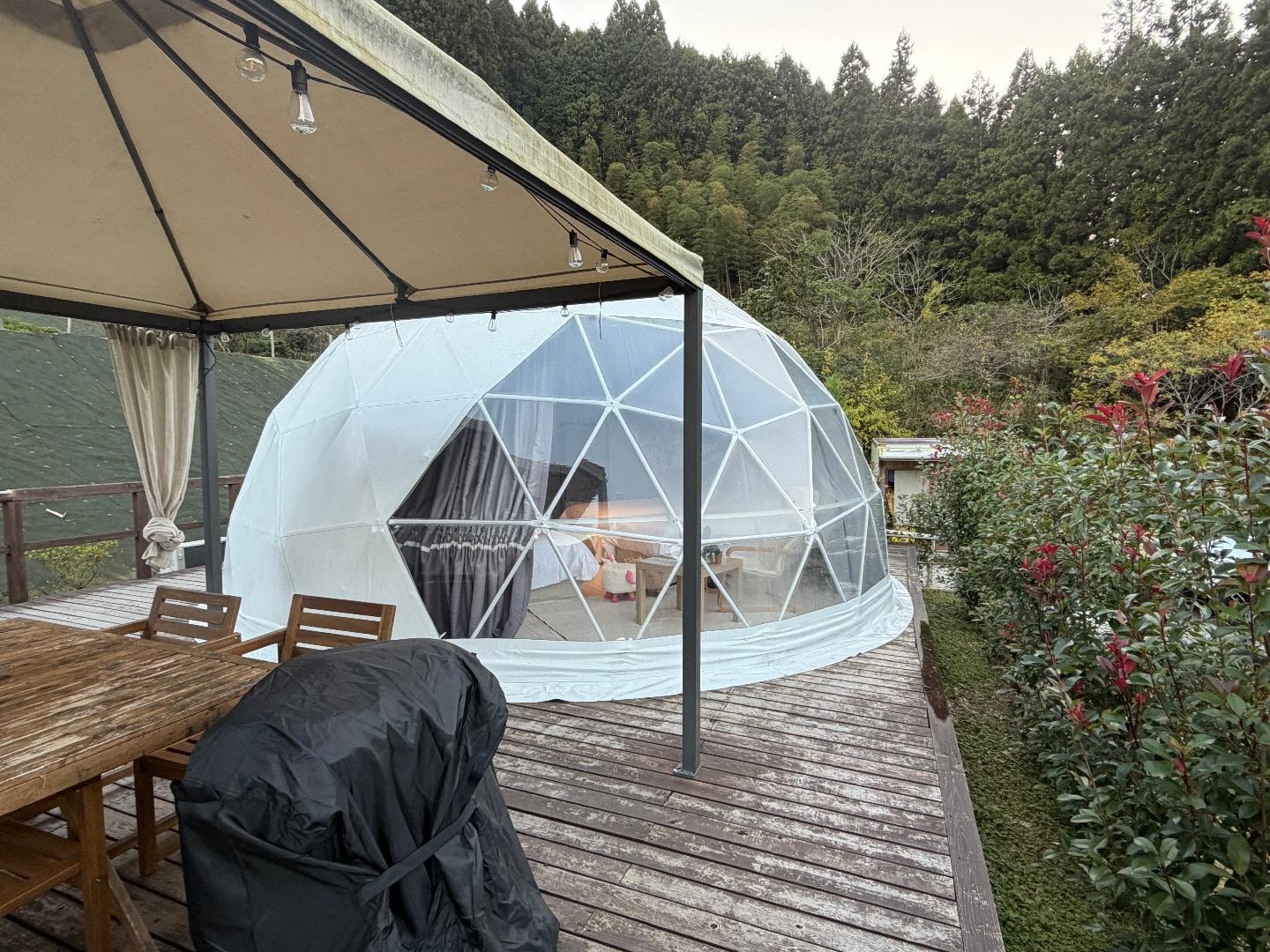 2025-11-15 16.36.19.jpg