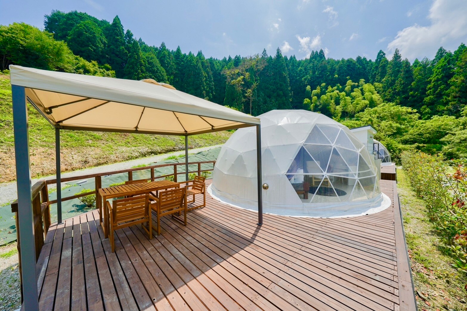 Dome tent (cherry blossom)