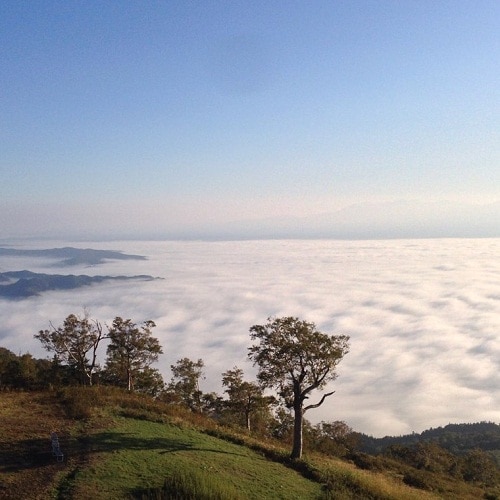 富良野索道山頂的“雲海”