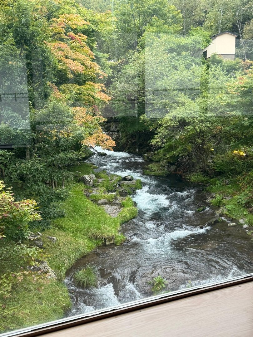 IMG_2411.jpeg