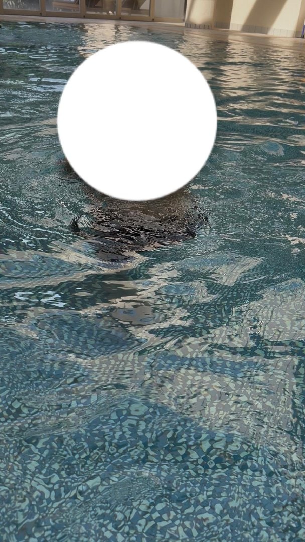 96AA14F1-ADF4-433A-A66A-2E9C3549AFB6.jpeg