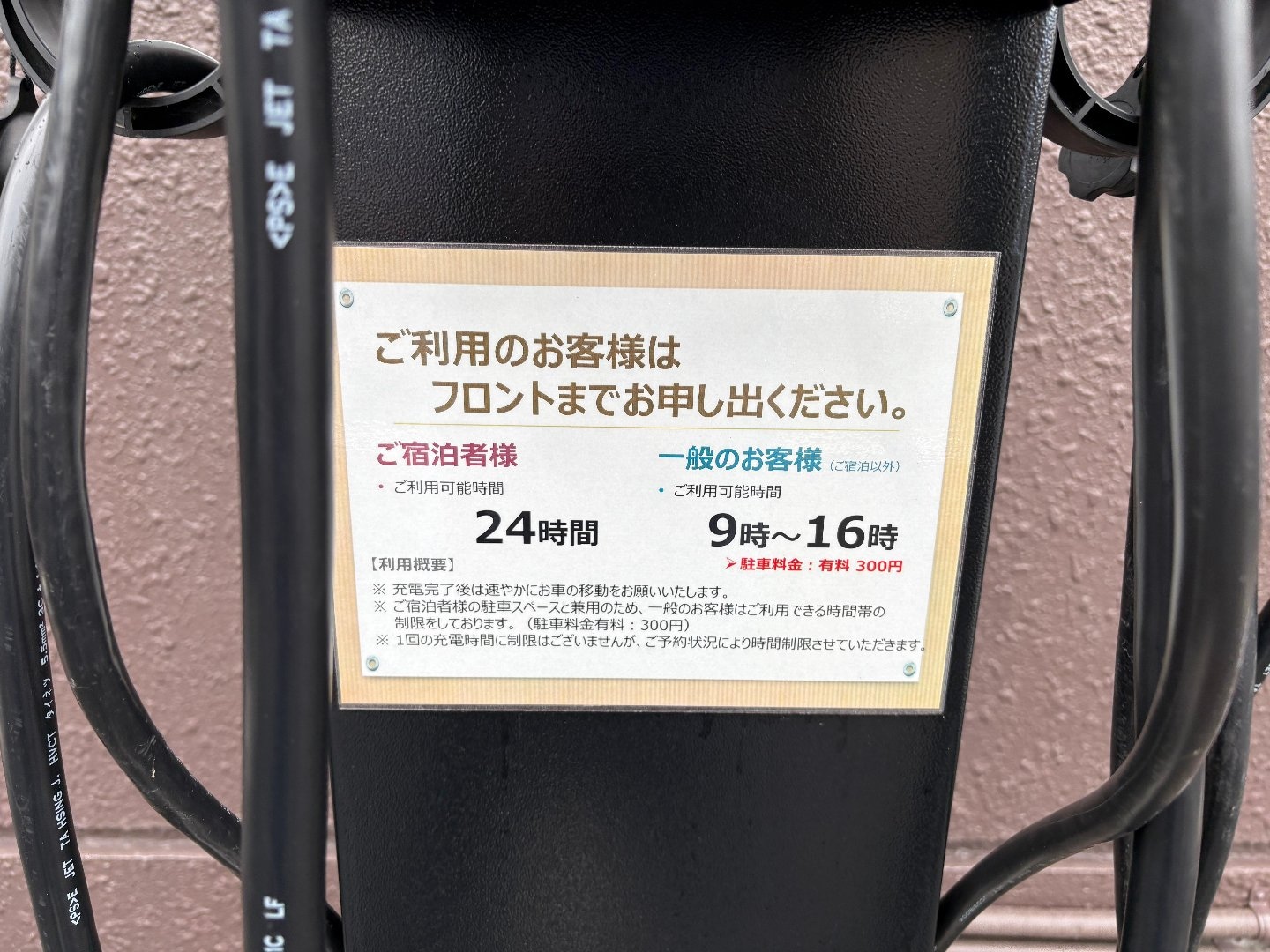 IMG_7955.jpeg