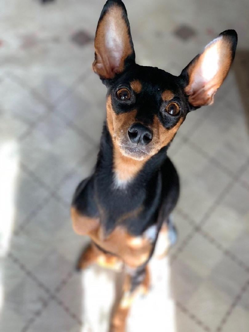 profile
