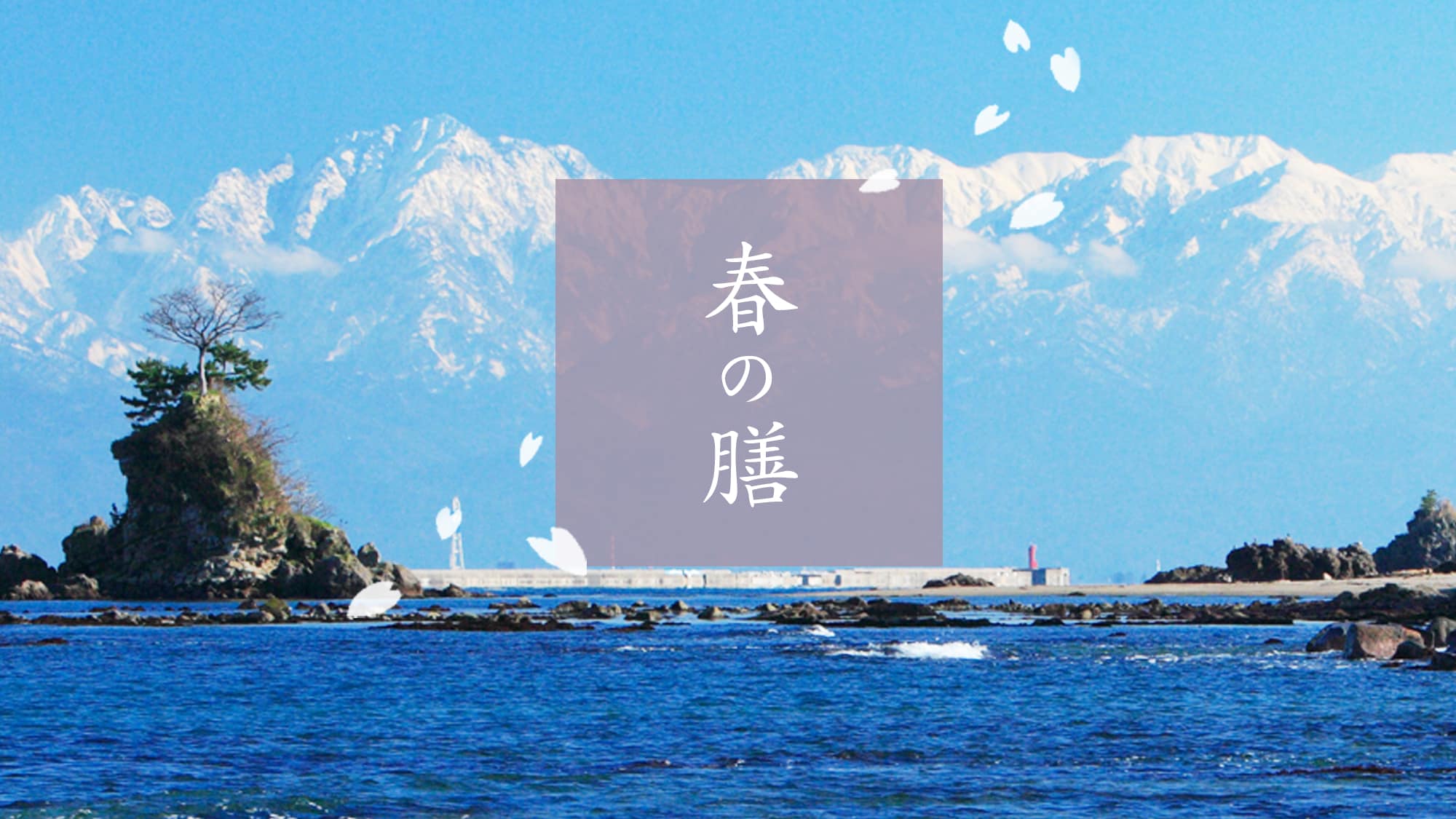 [春季套裝] 立山山脈在雪中閃閃發光的季節