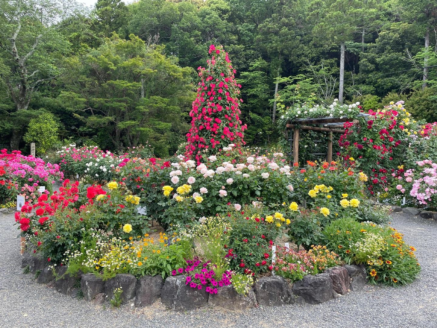 IMG_2079.jpeg