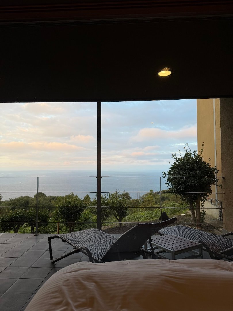 IMG_5984.jpeg