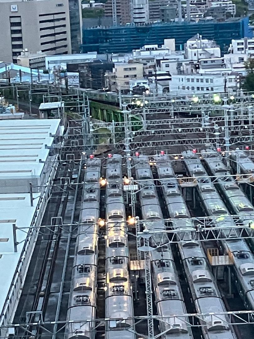 IMG_3203.jpeg
