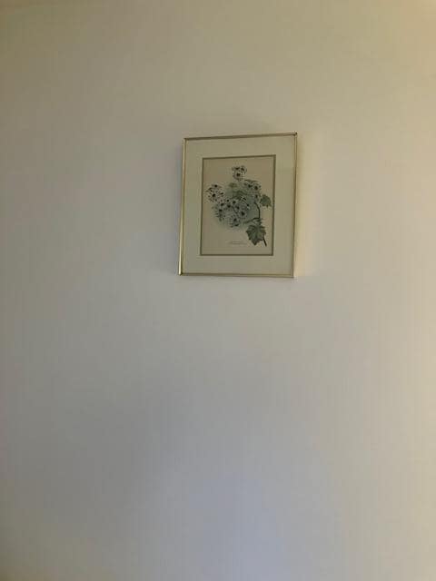 IMG_2507.jpeg