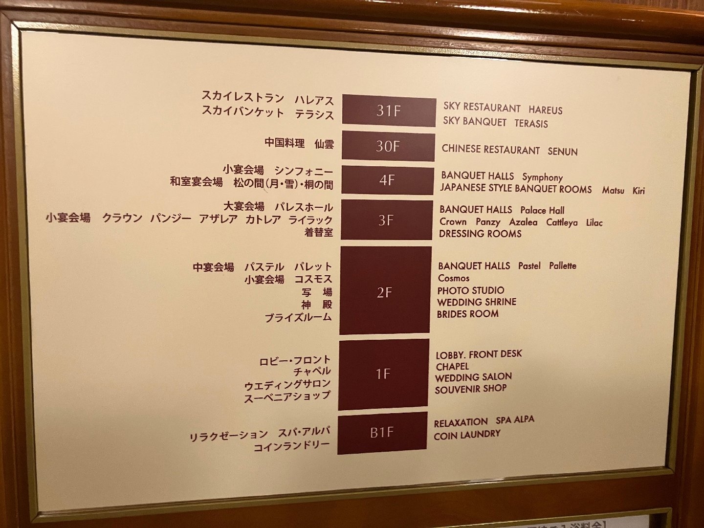 IMG_3681.jpeg