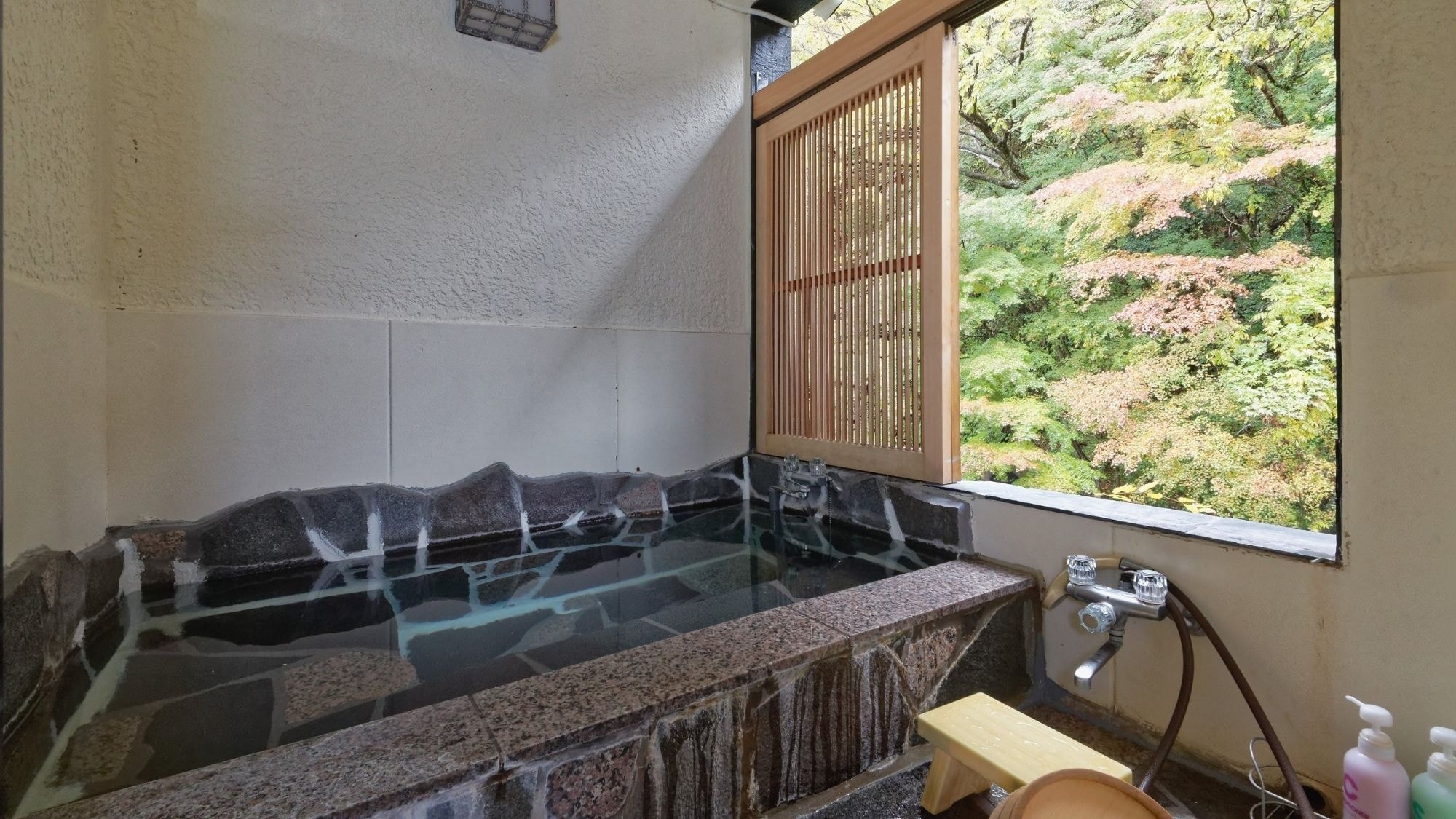 Guest room view bath example