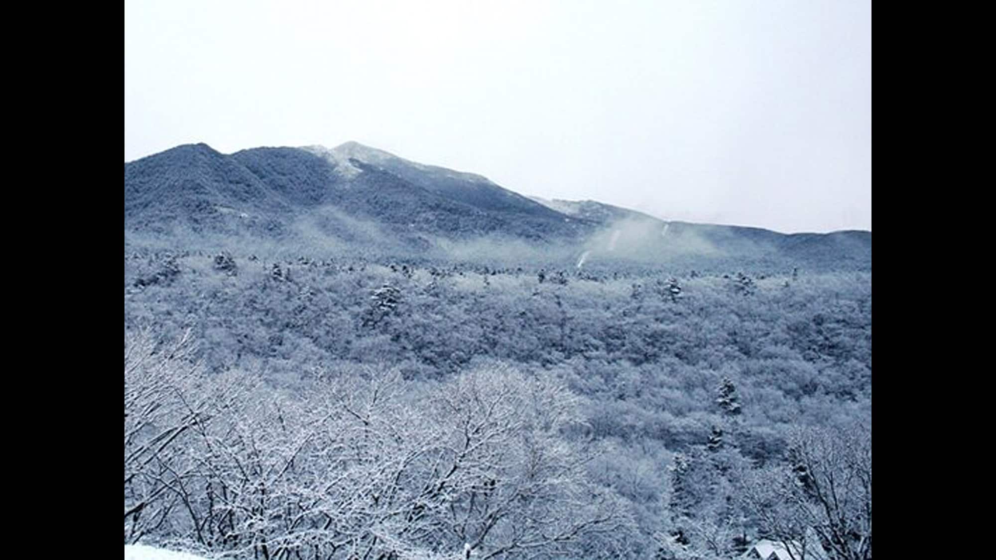 [Mt. Apoi in winter]