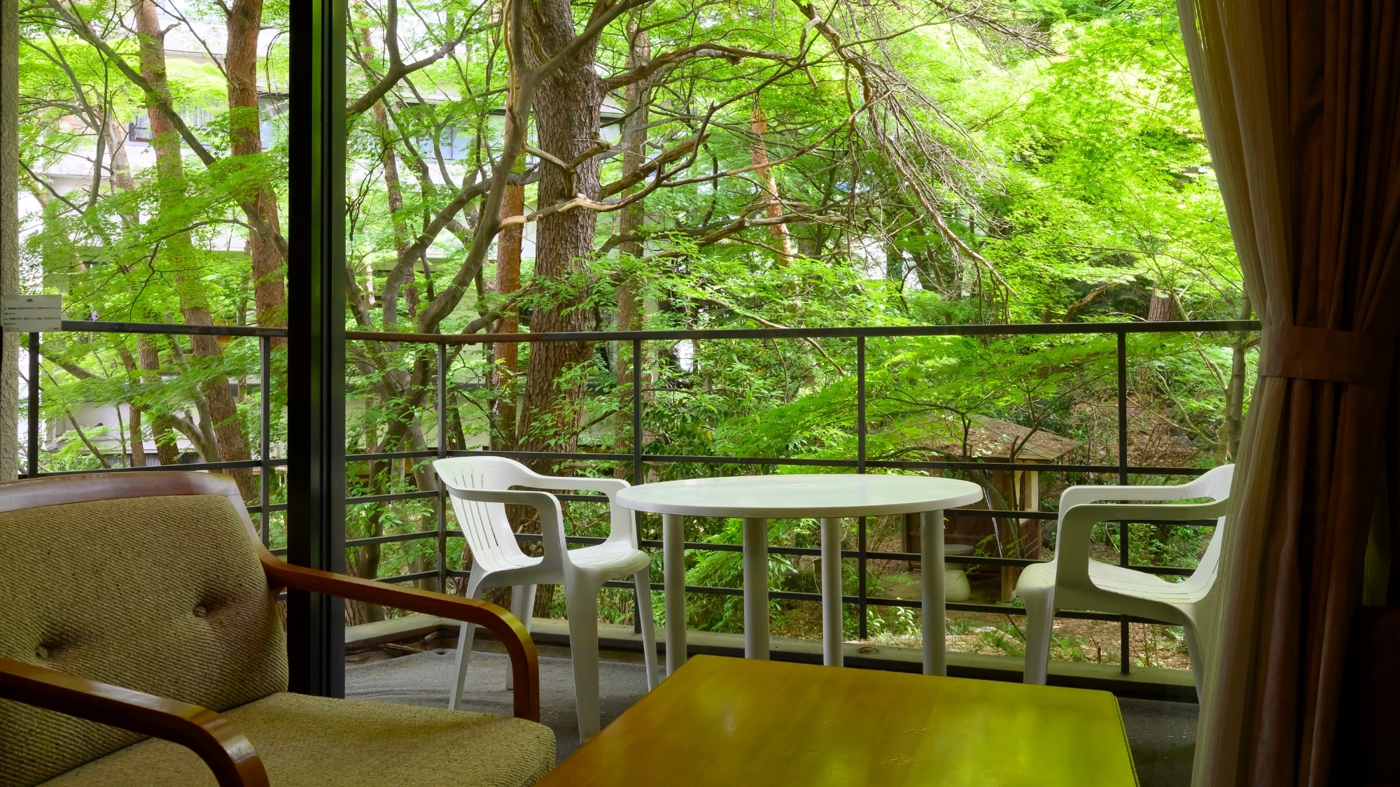 Relax on the terrace overlooking the garden