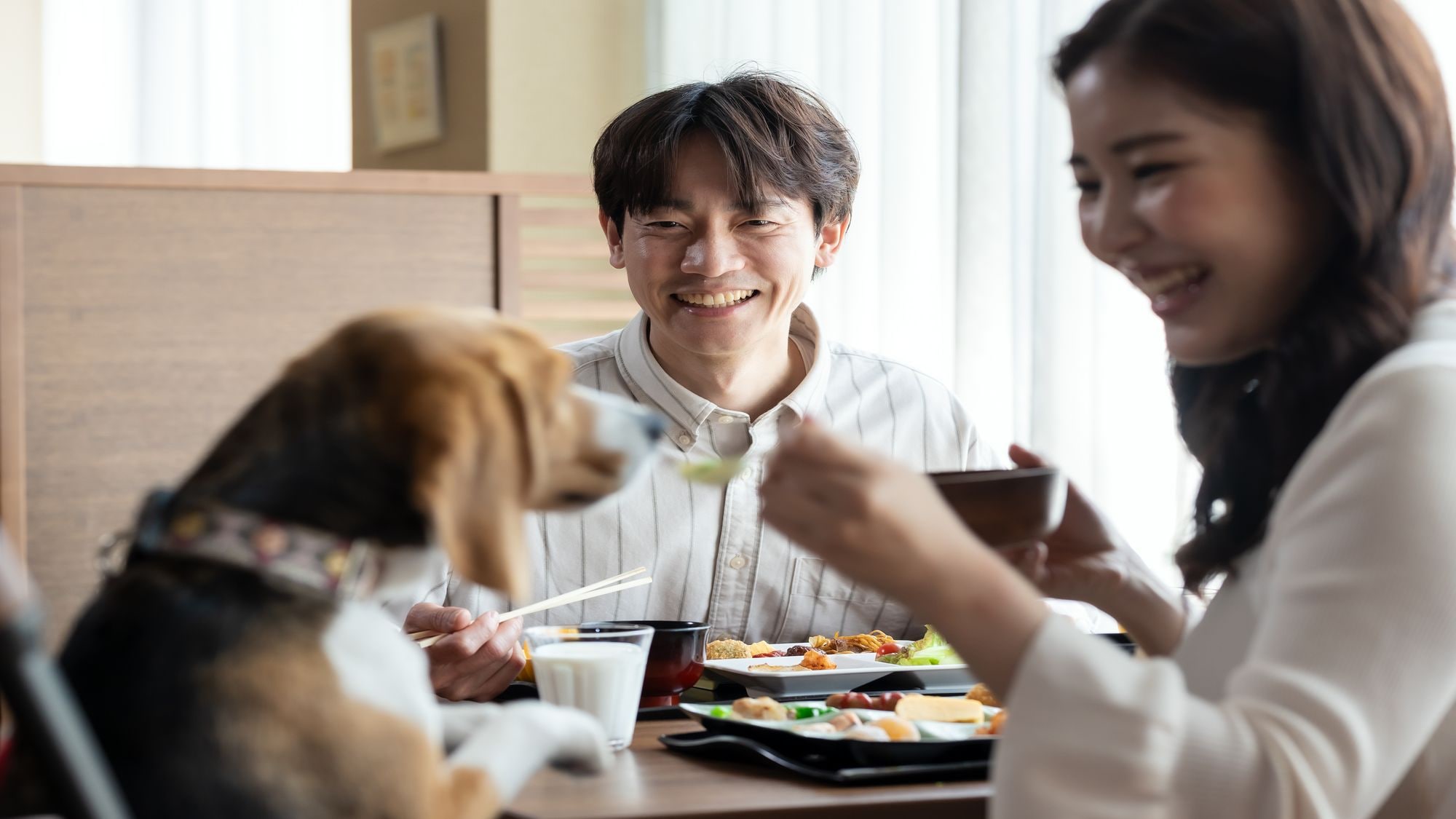 早餐自助餐甚至还专门为狗狗们准备了一个角落！