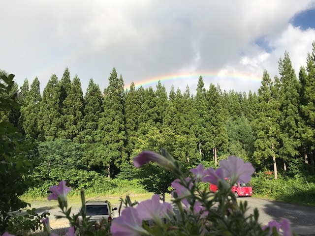 View from the room (shared parking lot)