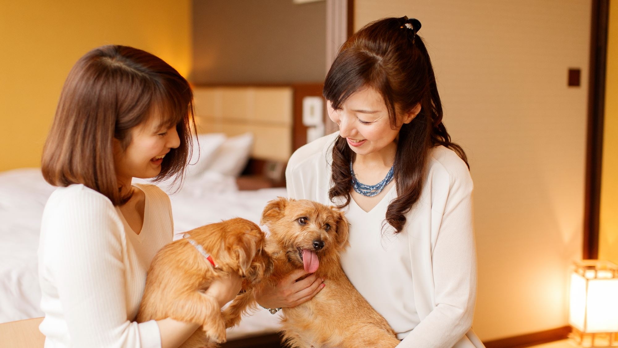 [Guest room for dogs] Up to two small dogs (6 kg or less) can be brought in one room.