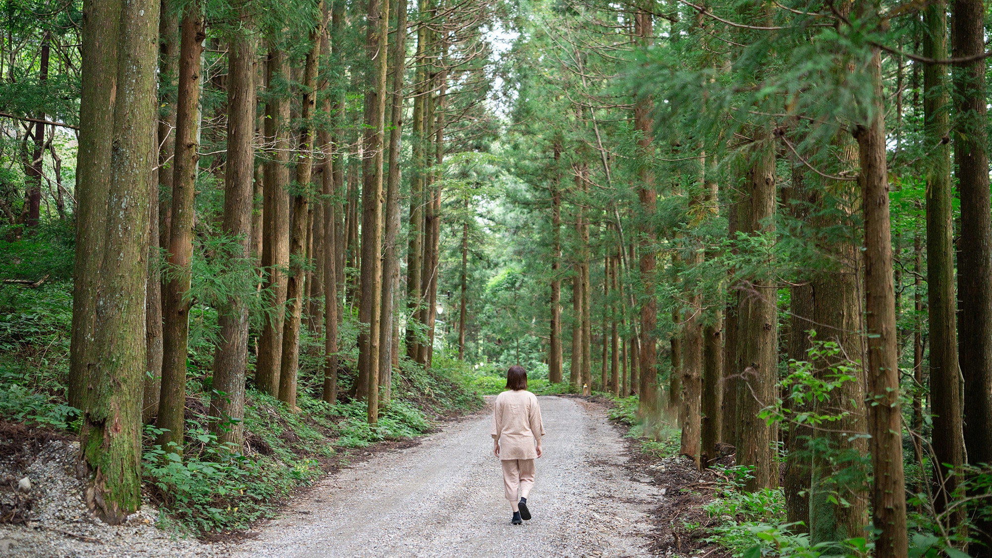 Forest bathing