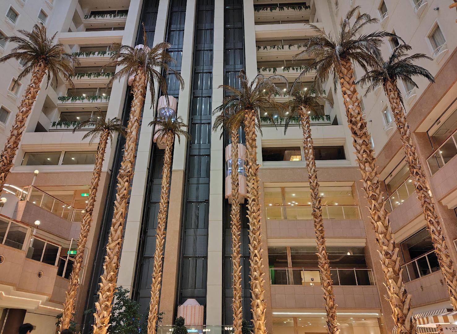 251226191748563 - コピー.JPG