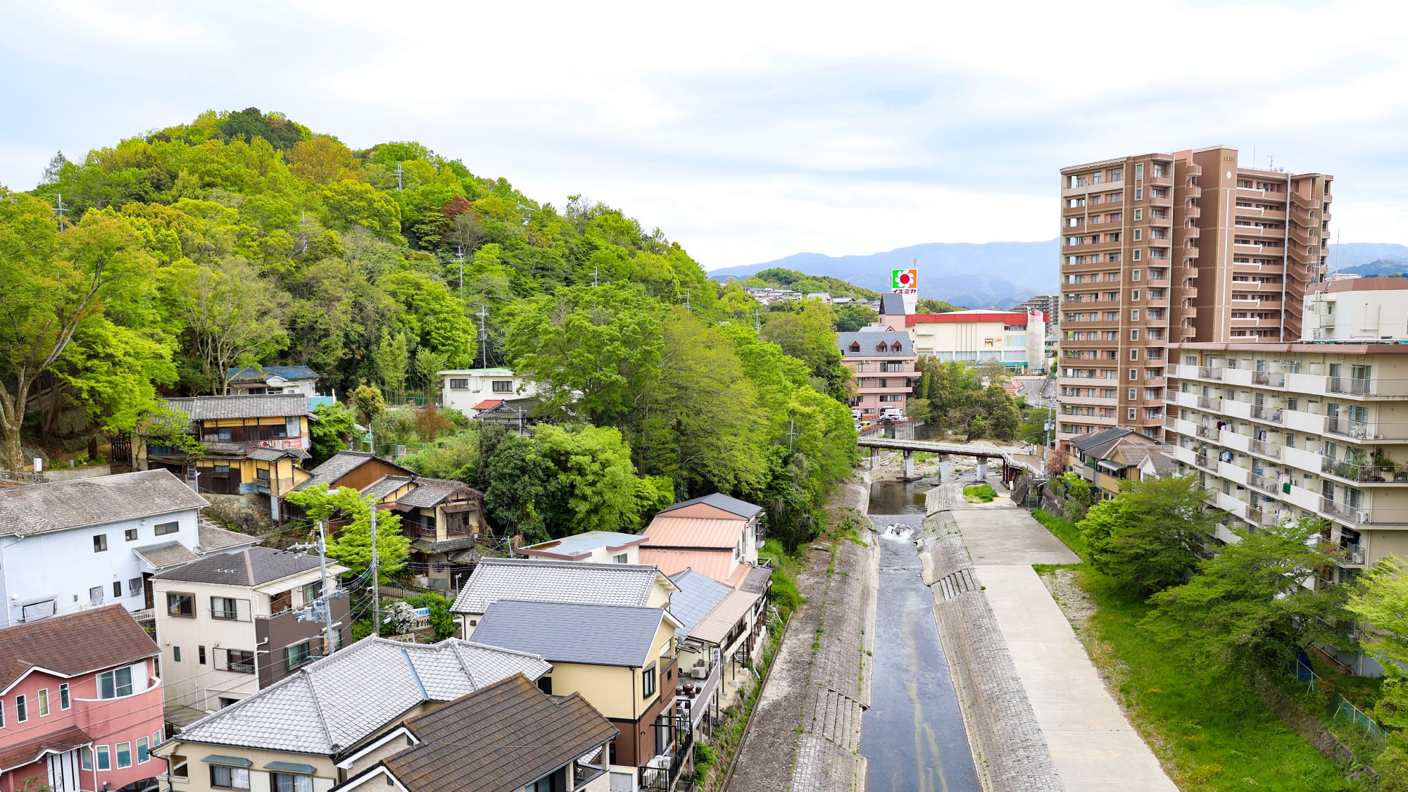 ■View from the room■