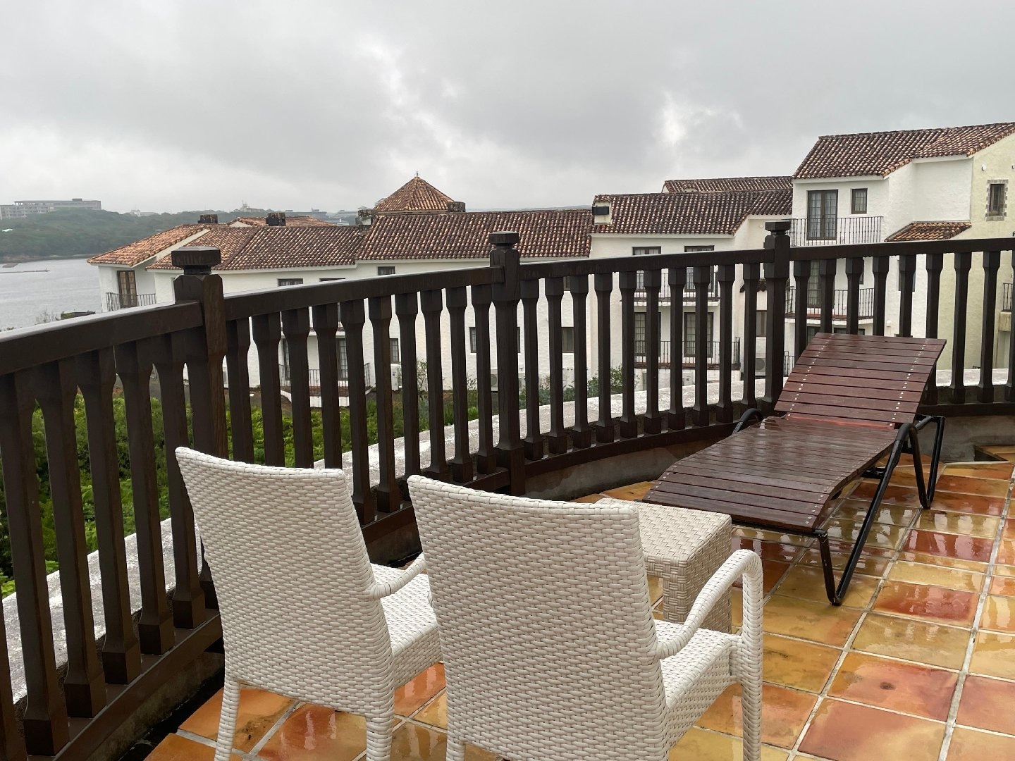 IMG_2067.jpeg