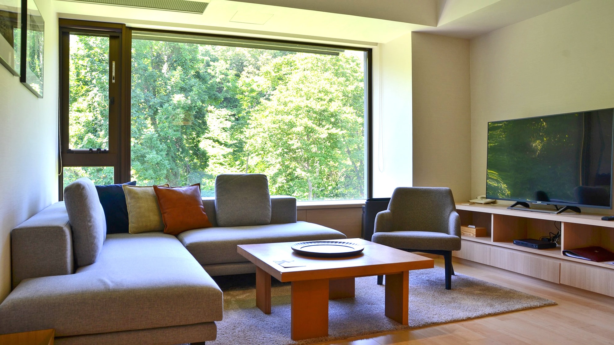 Living room [1 bedroom DX]