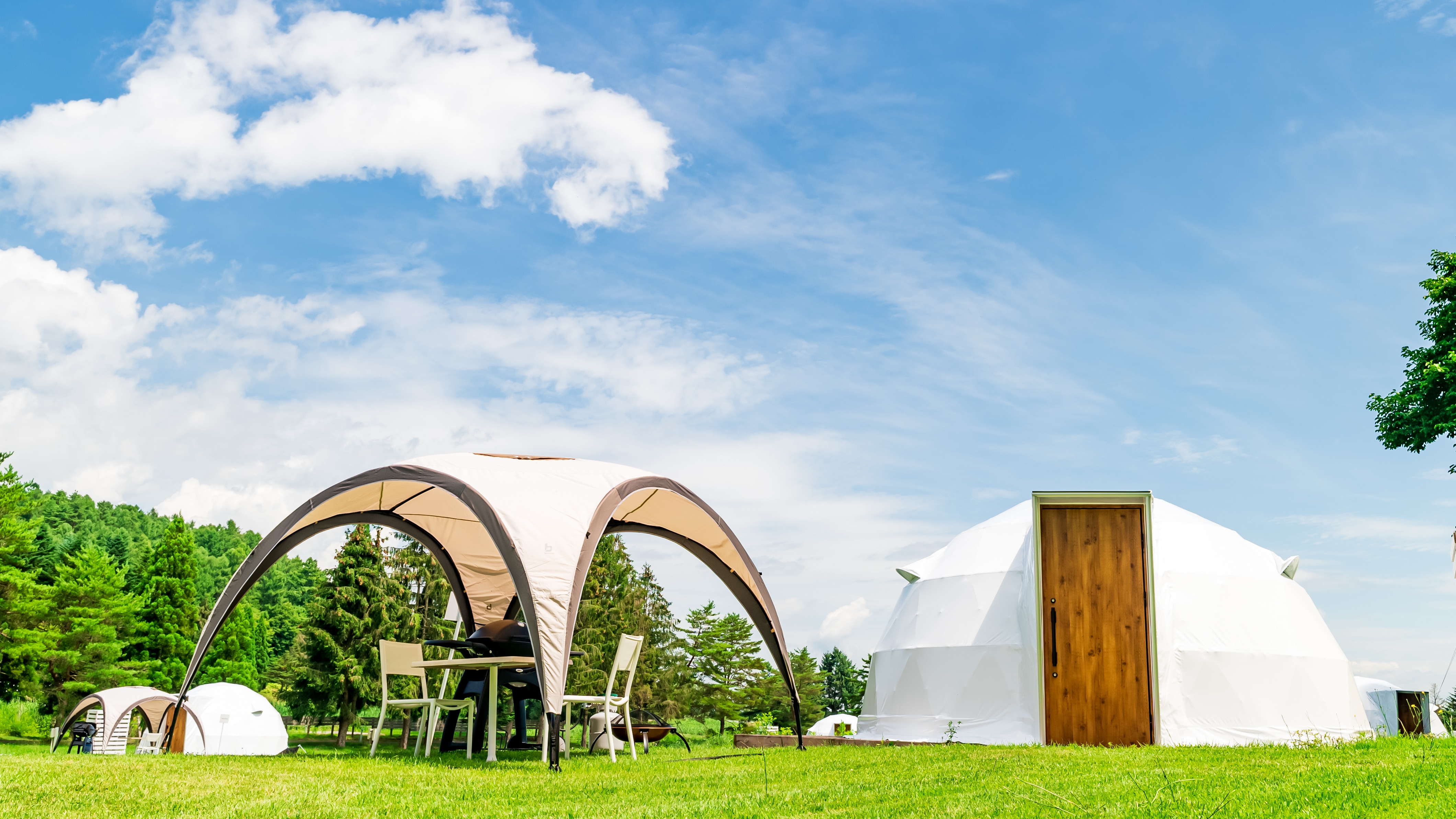 Single Dome