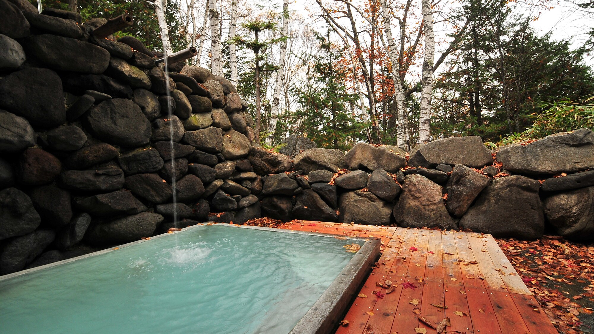 An open-air bath surrounded by forests (closed in winter)