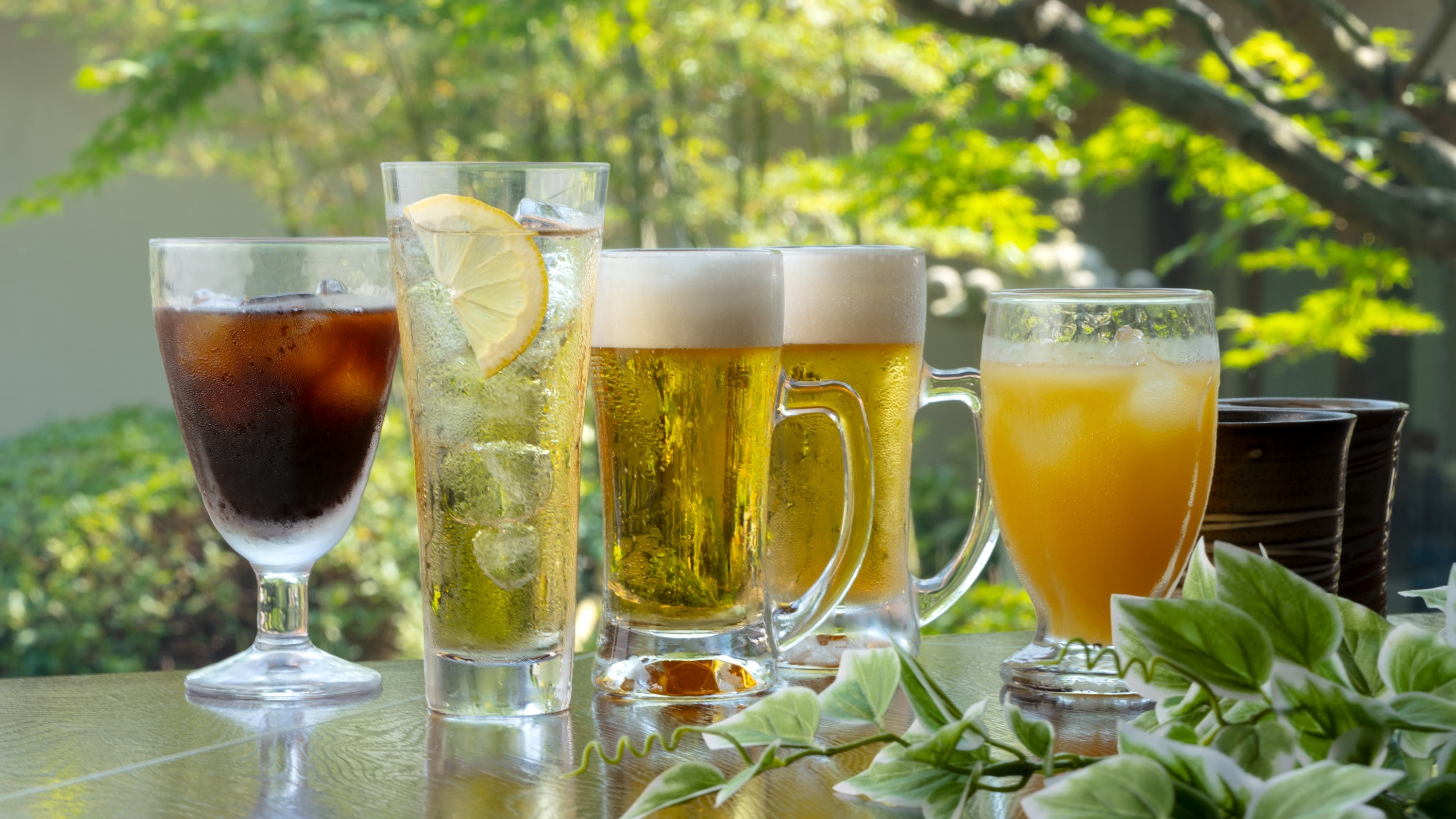 Viewing moon drink inclusive (lunch drink image)