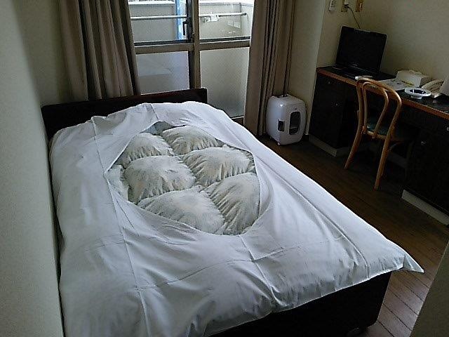 Contoh kamar single