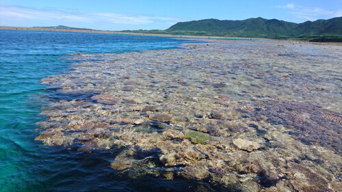 Rạn san hô của đảo Iriomote
