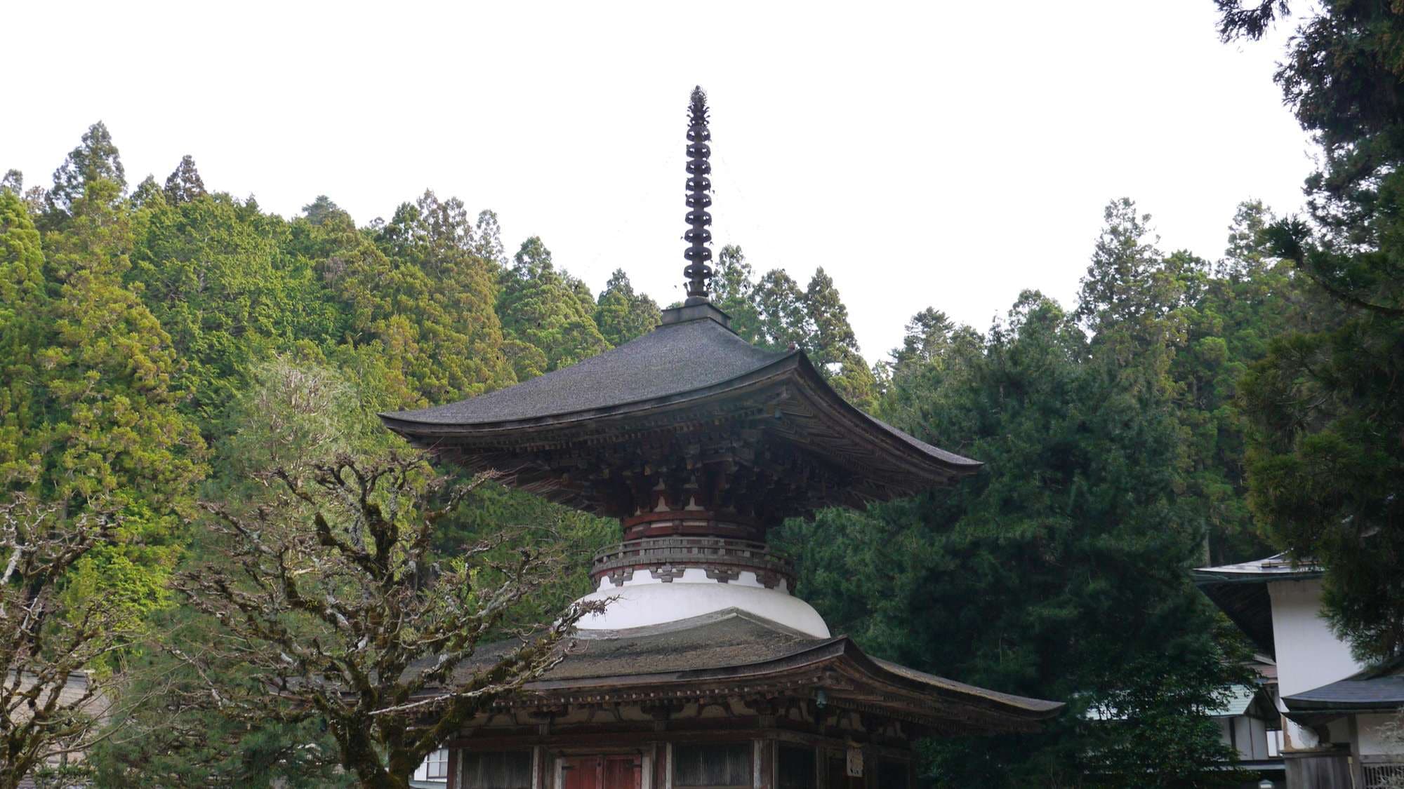 [Tahoto]