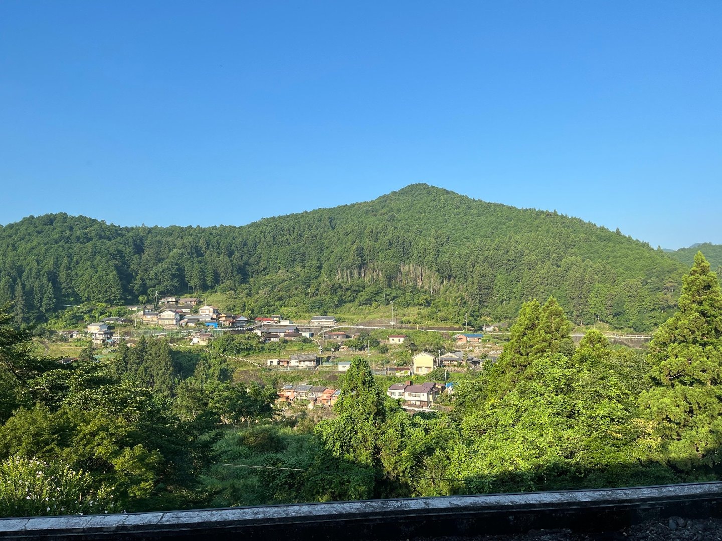 87651C2A-2937-4804-8C63-0D20C017D429.jpeg