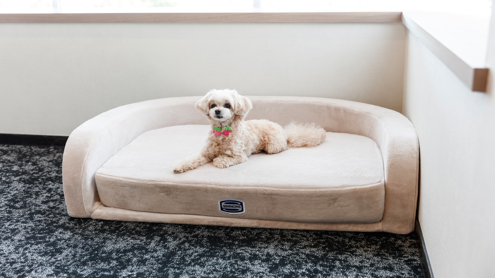 [WAN Suite] Room with indoor mini dog run and Simmons bed