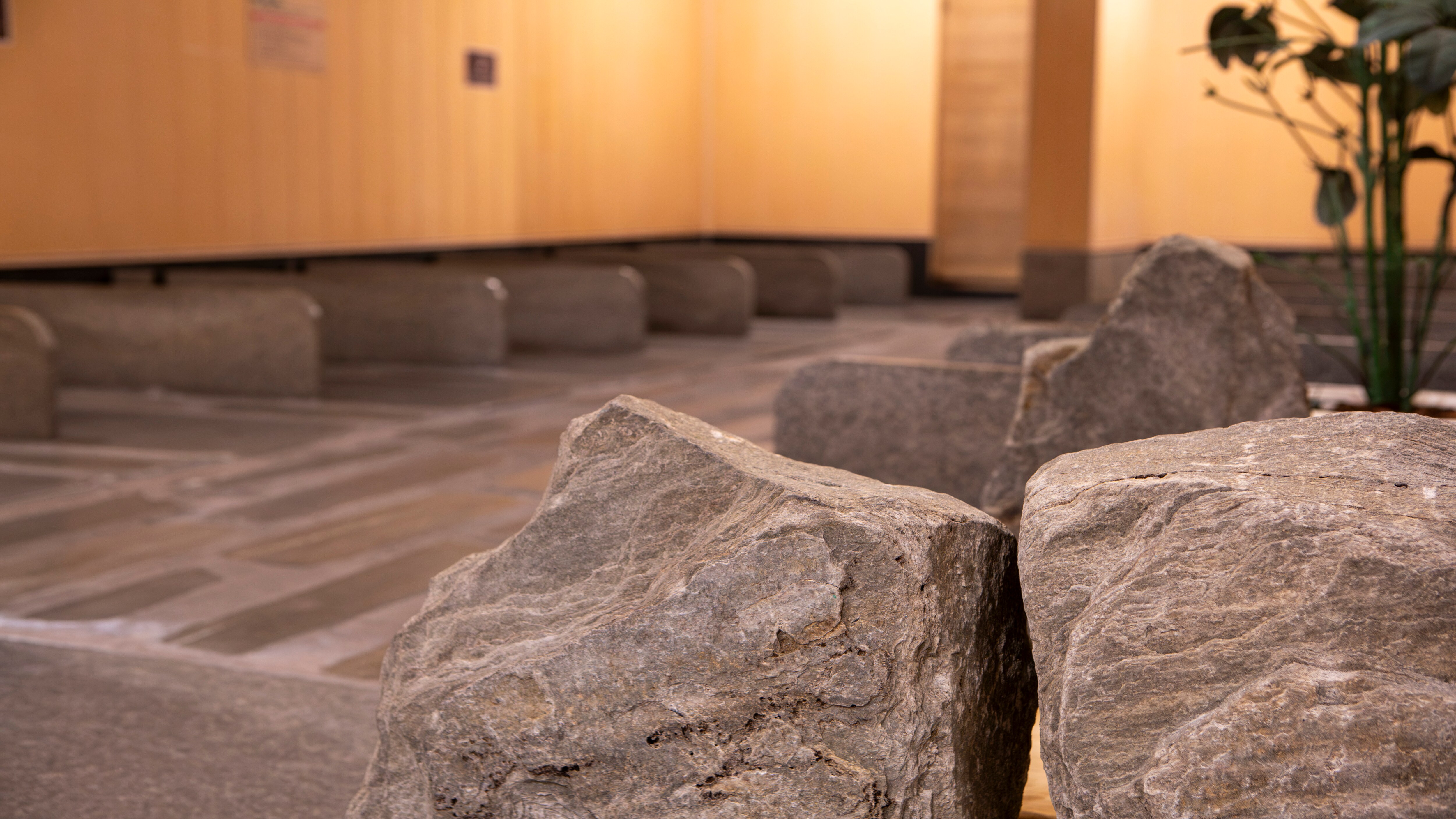 Hot stone bath (co-ed)