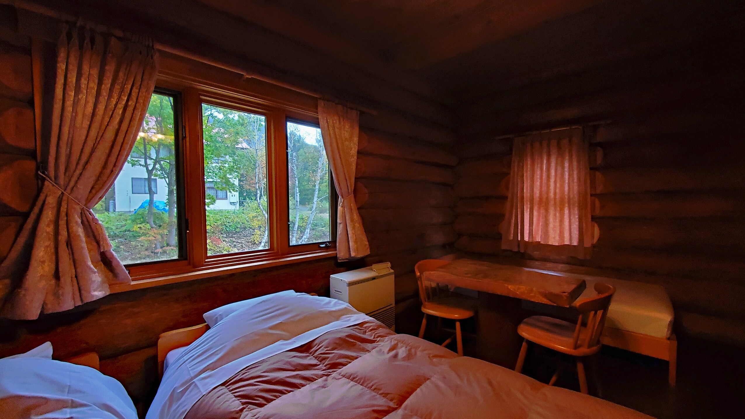 1st floor, Room 101 - View of autumn leaves from the guest room