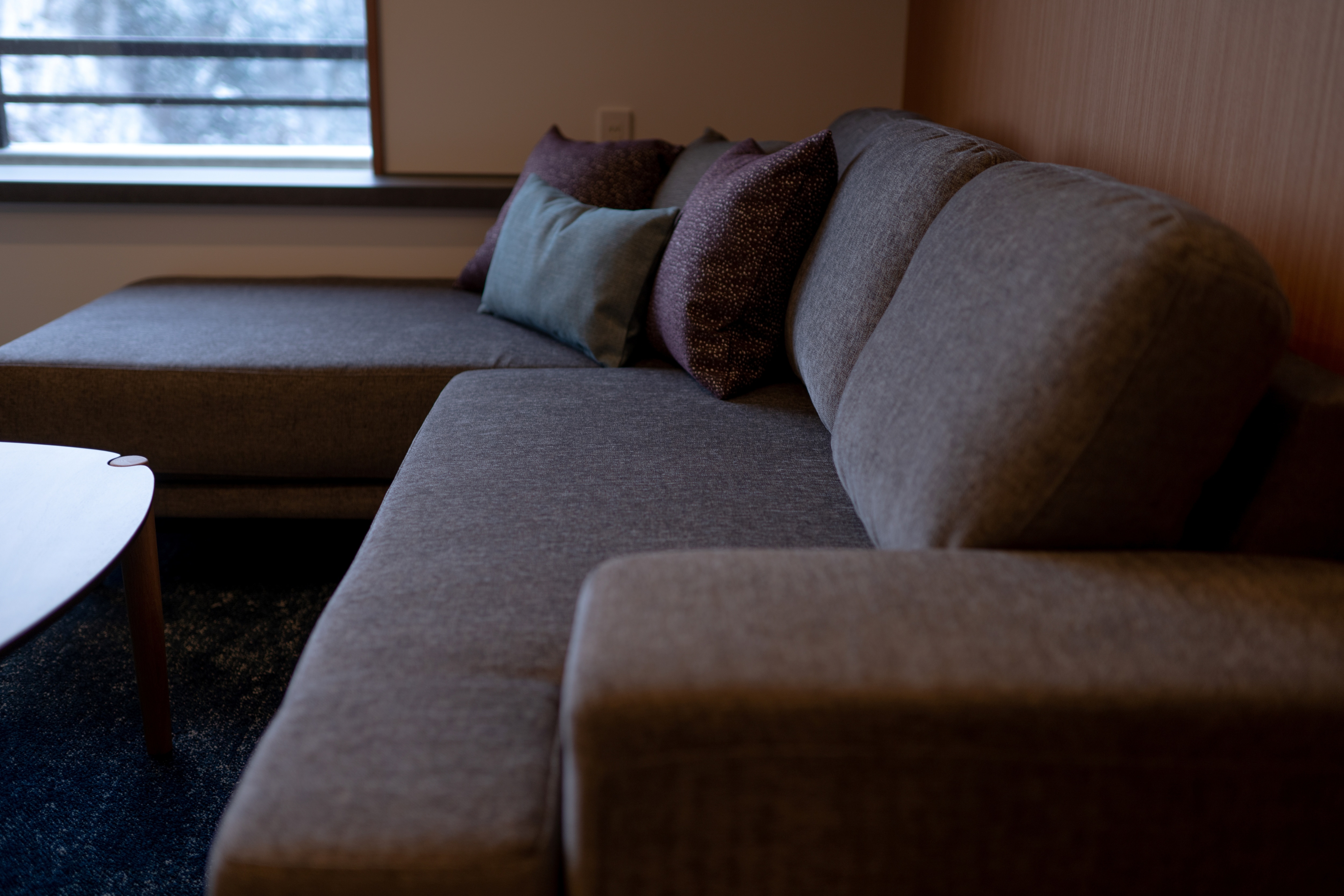 Canyon View Suite