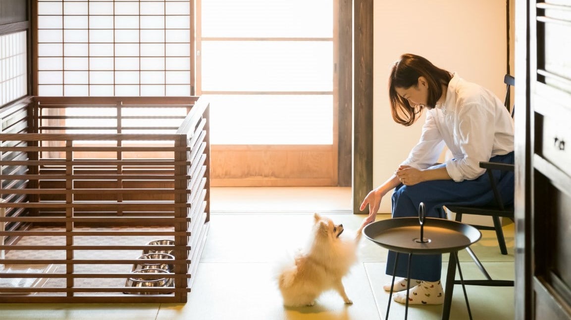 您可以與您的愛犬一起入住的客房