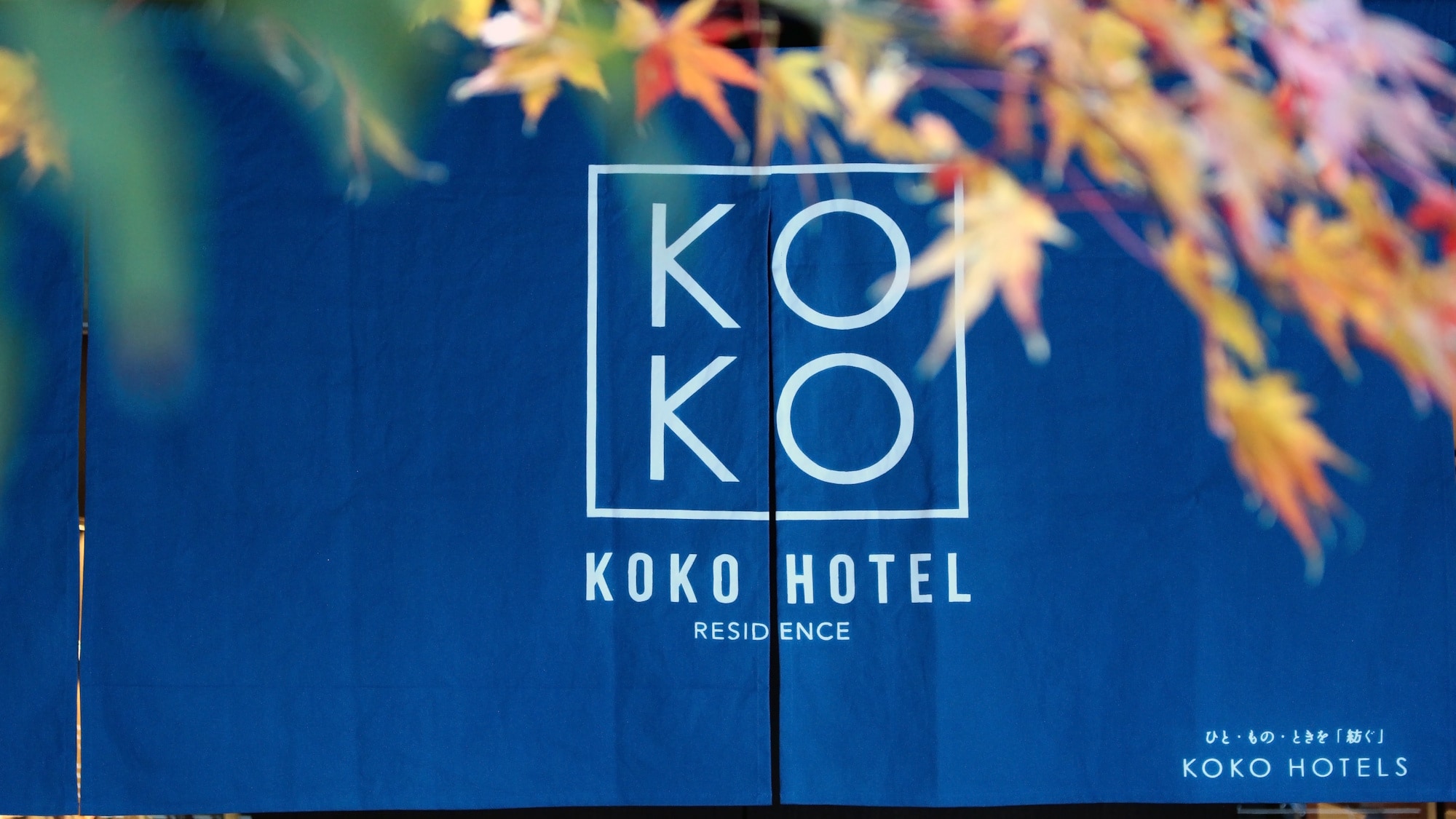 รูปร่าง หน้าตา (โนเรน)