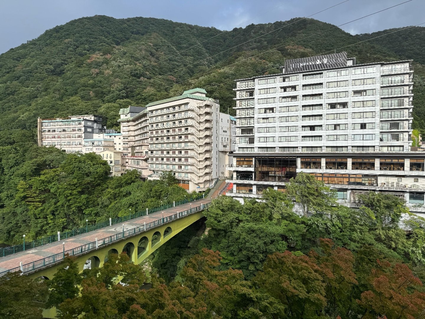 DA6D30CA-7C2A-43F2-9B51-75C532988280.jpeg